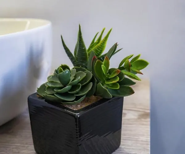 ベッド・アンド・ブレックファスト Mc アグローポリ