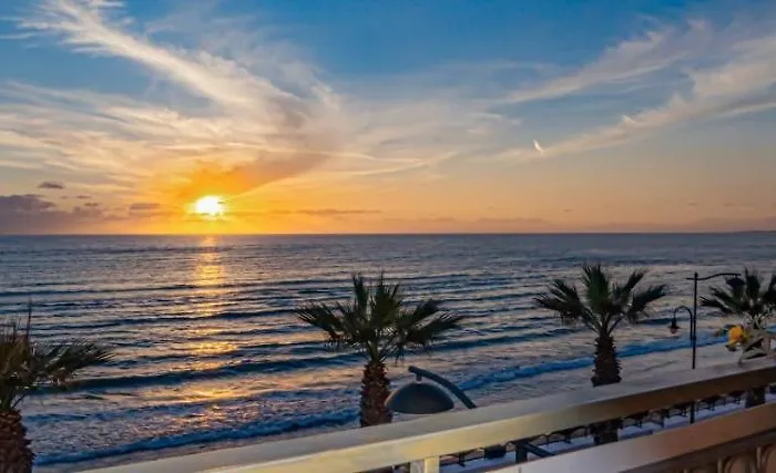 Mc アグローポリ